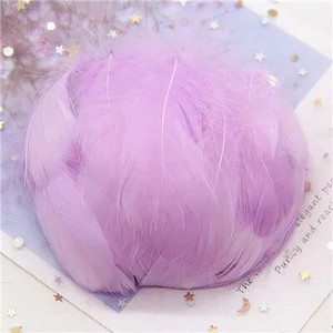 Natūralios žąsies plunksnos 4-8cm Mažos plaukiojančios spalvingos gulbės plunksnos, skirtos rankdarbiams, vestuviniams papuošalams namų dekoravimui, plunksnos 100 vnt.