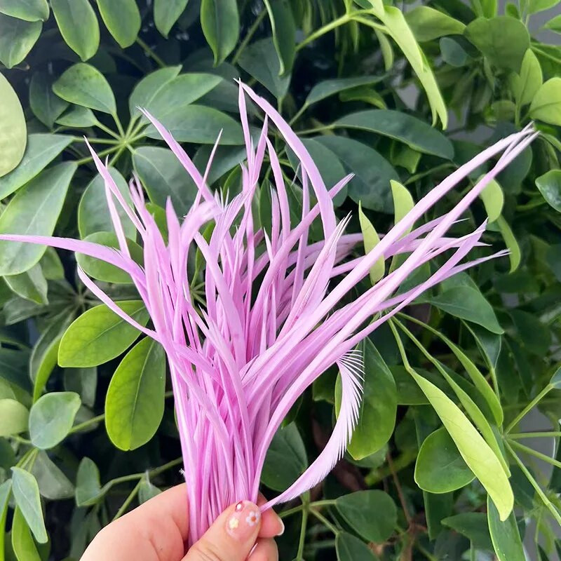 Κατασκευαστής Πουλάει 50 τεμ 12-18 εκ. Βαμμένο φτερό χήνας DIY Αξεσουάρ καρναβαλιού Φτερά για κεντήματα Φτερά για χειροτεχνίες