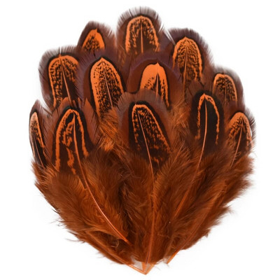 20 tk/partii värvilised faasanisuled meisterdamiseks 3-7 cm naturaalsetest sulgedest Ehted Käsitöö Aksessuaarid Pühadekaunistus