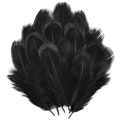 20 tk/partii värvilised faasanisuled meisterdamiseks 3-7 cm naturaalsetest sulgedest Ehted Käsitöö Aksessuaarid Pühadekaunistus