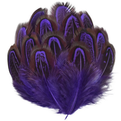 20 tk/partii värvilised faasanisuled meisterdamiseks 3-7 cm naturaalsetest sulgedest Ehted Käsitöö Aksessuaarid Pühadekaunistus
