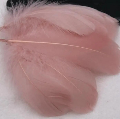 Pene naturale de gâscă de 4-15 cm Pene colorate de pene de lebădă pentru decorarea casei de petrecere Artizanat DIY Bijuterii Accesorii Cosplay