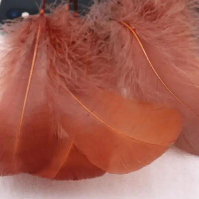 Pene naturale de gâscă de 4-15 cm Pene colorate de pene de lebădă pentru decorarea casei de petrecere Artizanat DIY Bijuterii Accesorii Cosplay