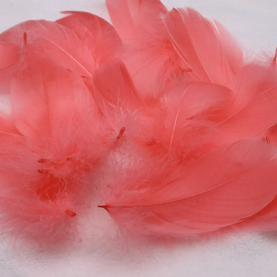 Pene naturale de gâscă de 4-15 cm Pene colorate de pene de lebădă pentru decorarea casei de petrecere Artizanat DIY Bijuterii Accesorii Cosplay