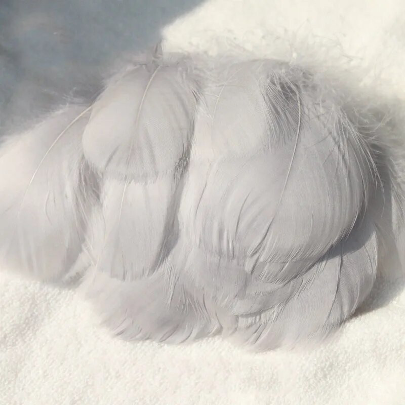 4-15 cm natūralios žąsies plunksnos Plunksnos Spalvingos gulbės plunksnos, skirtos namų vakarėliui dekoruoti, pasidaryk pats papuošalai Cosplay priedai