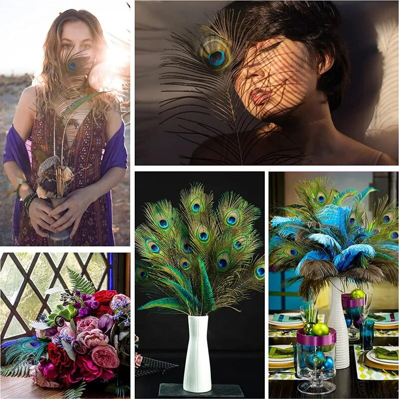 10 vnt. Natūralios povo plunksnos slyvų vestuvinės detalės, skirtos rankdarbiams, pasidaryk pats, vazos papuošimas namų plaukams karnavalo aksesuarai, amatai