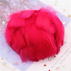 Pene naturale de gâscă 4-8 cm Pene de lebădă colorate plutitoare mici pentru artizanat Bijuterii de nuntă Decorarea casei Pene 100 buc