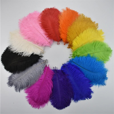 10 бр./лот 15-20 см щраусови пера Празнични декорации Създаване на бижута Цветни пера Карнавални пера Аксесоари за занаяти