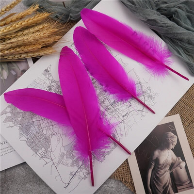 Raznobojno guščje perje 15-20 cm tvrdi štap, prirodno labudovo perje, dekoracija za svatove, dodaci za hvatače snova, uradi sam, rukotvorine