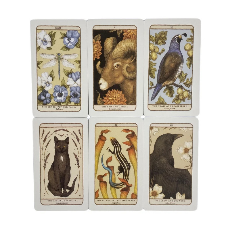 Woodland Wardens Oracle Cards A 52 inglise visioonide ennustamise väljaanne Feather Heart Deck Borad Games