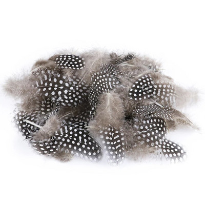 Малки пера от фазан от токачки Естествени пера на петна Свободни 5-8 см пера за занаяти с декор на перо на бели точки