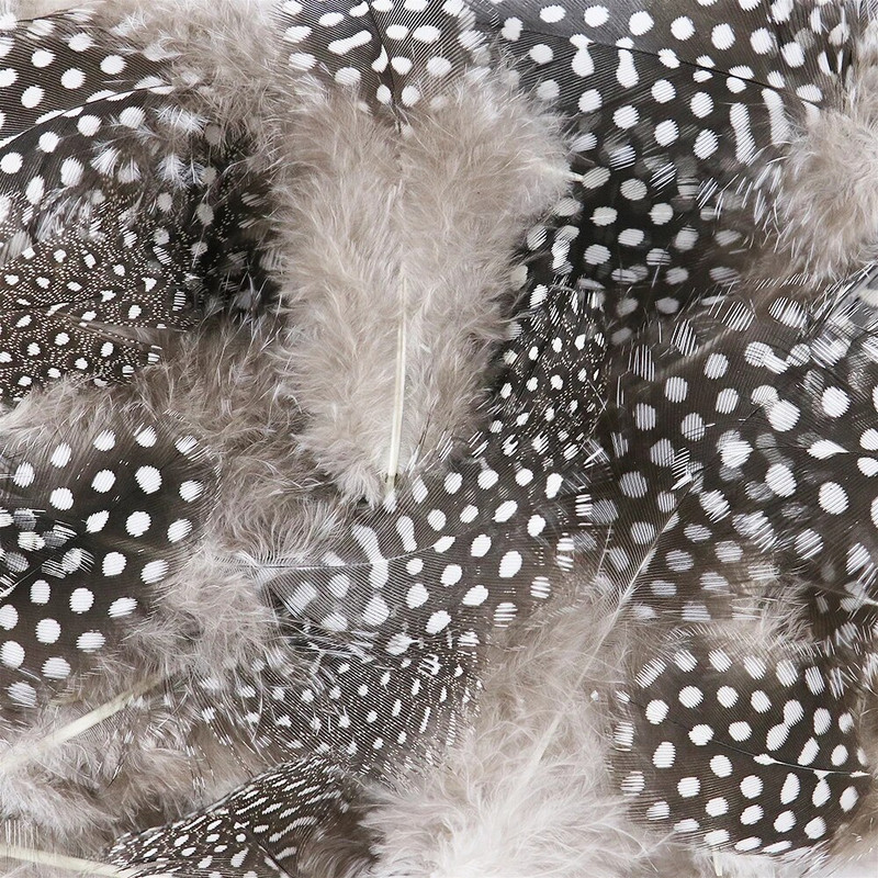 Mažos perlinės vištos fazano plunksnos Natūralios plunksnos dėmėtos, laisvos 5–8 cm plunksnos, skirtos amatams su baltais taškeliais, plunksnomis