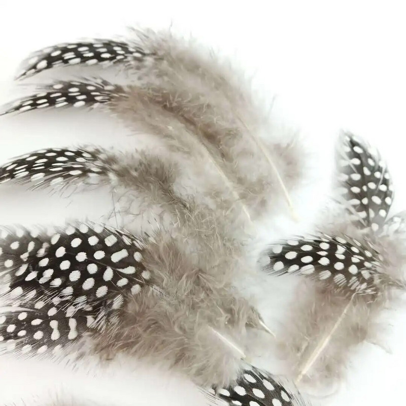 Mažos perlinės vištos fazano plunksnos Natūralios plunksnos dėmėtos, laisvos 5–8 cm plunksnos, skirtos amatams su baltais taškeliais, plunksnomis