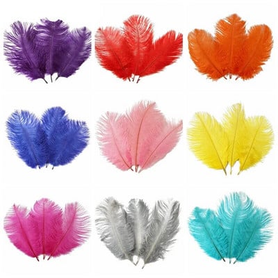 10 buc. pene de struț colorate de 15-20 cm pentru decorare, bricolaj, bijuterii, artizanat, pene de struț alb, accesorii de decor, prune de nuntă