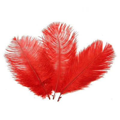 10 tk 15-20cm värvilised jaanalinnusuled kaunistuseks DIY ehted käsitöö valged jaanalinnusuled Dekoratsioonitarvikud Pulmad ploomid