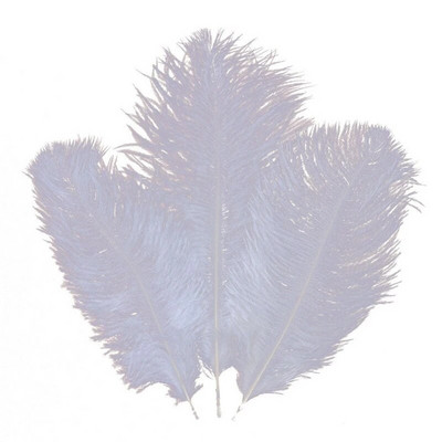 10 tk 15-20cm värvilised jaanalinnusuled kaunistuseks DIY ehted käsitöö valged jaanalinnusuled Dekoratsioonitarvikud Pulmad ploomid