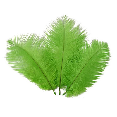 10 tk 15-20cm värvilised jaanalinnusuled kaunistuseks DIY ehted käsitöö valged jaanalinnusuled Dekoratsioonitarvikud Pulmad ploomid