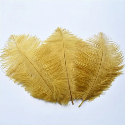 10 tk 15-20cm värvilised jaanalinnusuled kaunistuseks DIY ehted käsitöö valged jaanalinnusuled Dekoratsioonitarvikud Pulmad ploomid