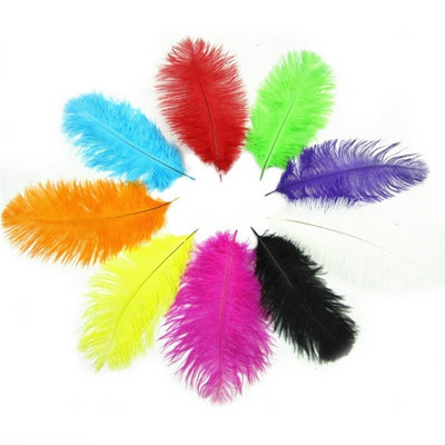 10 tk 15-20cm värvilised jaanalinnusuled kaunistuseks DIY ehted käsitöö valged jaanalinnusuled Dekoratsioonitarvikud Pulmad ploomid