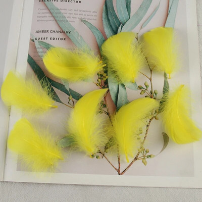 4-8 εκ. Φτερά χήνας Φυσικό Φτερό Swan Samll Diy Color Flutter Plume Stage Στολισμός Γάμου Floating Plumas Spatter Balloon