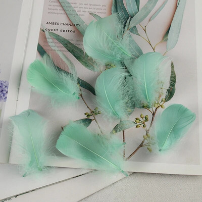 4-8 εκ. Φτερά χήνας Φυσικό Φτερό Swan Samll Diy Color Flutter Plume Stage Στολισμός Γάμου Floating Plumas Spatter Balloon