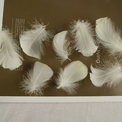 4-8 εκ. Φτερά χήνας Φυσικό Φτερό Swan Samll Diy Color Flutter Plume Stage Στολισμός Γάμου Floating Plumas Spatter Balloon