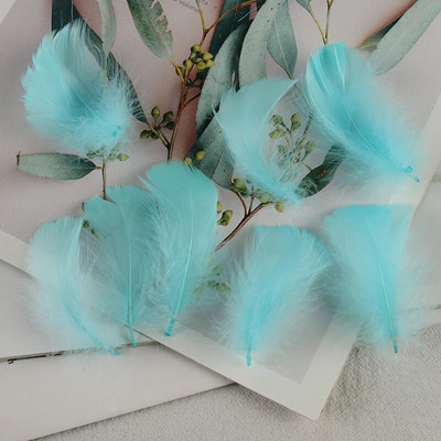 4-8 εκ. Φτερά χήνας Φυσικό Φτερό Swan Samll Diy Color Flutter Plume Stage Στολισμός Γάμου Floating Plumas Spatter Balloon