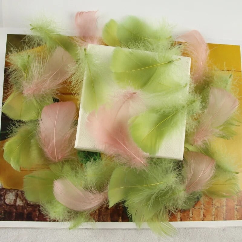 4-8 εκ. Φτερά χήνας Φυσικό Φτερό Swan Samll Diy Color Flutter Plume Stage Στολισμός Γάμου Floating Plumas Spatter Balloon