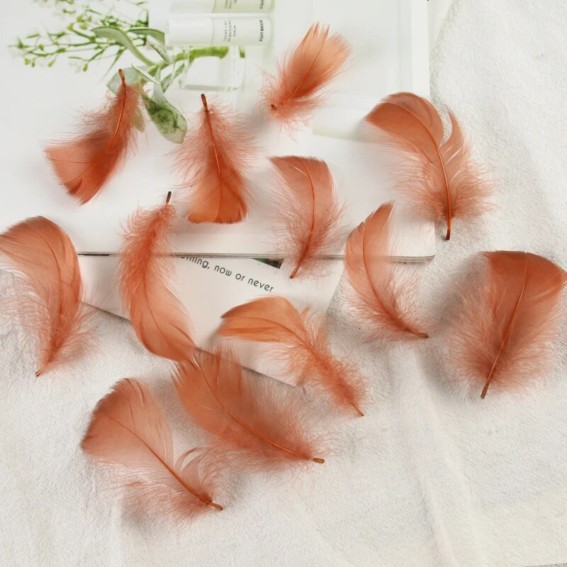 4-8 εκ. Φτερά χήνας Φυσικό Φτερό Swan Samll Diy Color Flutter Plume Stage Στολισμός Γάμου Floating Plumas Spatter Balloon