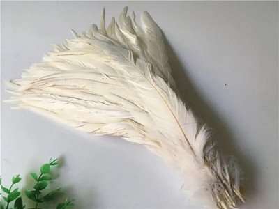 10 buc/lot pene de coadă de cocoș natural 25-30CM 10-12" pene de fazan pentru artizanat decorațiuni de nuntă DIY haine plumas