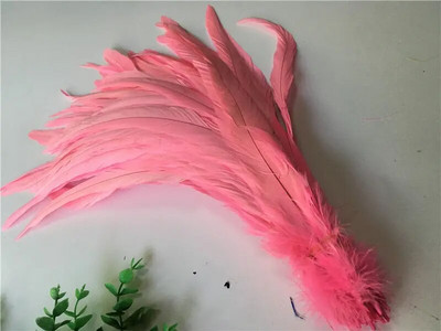10 buc/lot pene de coadă de cocoș natural 25-30CM 10-12" pene de fazan pentru artizanat decorațiuni de nuntă DIY haine plumas