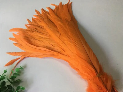 10 buc/lot pene de coadă de cocoș natural 25-30CM 10-12" pene de fazan pentru artizanat decorațiuni de nuntă DIY haine plumas