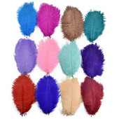 10 buc. pene de strut pentru lucrari de ac 15-20 cm 6-8" pene albe de strut bricolaj artizanat carnaval accesorii nunta decorare
