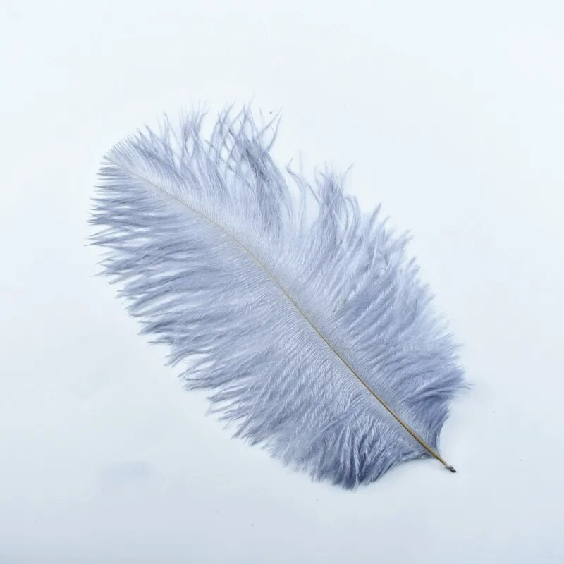 10 tk jaanalinnusulgi näputööks 15-20cm 6-8" valge jaanalinnusulgi DIY käsitöö karnevali pulmatarvikud kaunistus