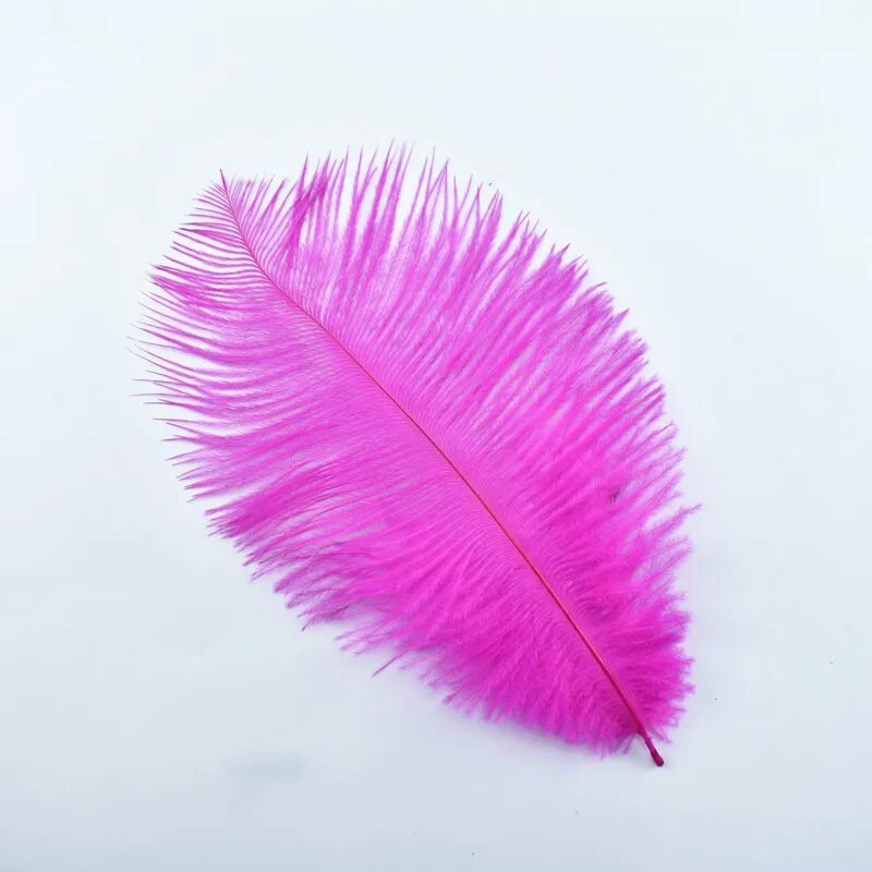 10 tk jaanalinnusulgi näputööks 15-20cm 6-8" valge jaanalinnusulgi DIY käsitöö karnevali pulmatarvikud kaunistus