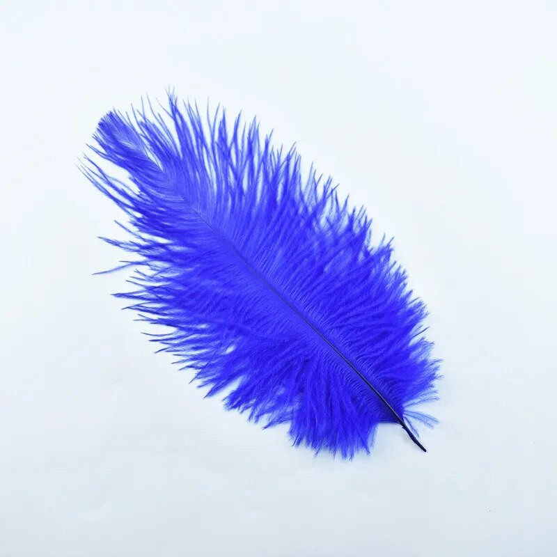 10 tk jaanalinnusulgi näputööks 15-20cm 6-8" valge jaanalinnusulgi DIY käsitöö karnevali pulmatarvikud kaunistus