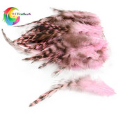 50 buc/sac pene naturale de fazan pentru meșteșuguri, șa de cocoș grizzly, legarea muștelor, bijuterii cu pene, accesoriu pentru cercei Dreamcather