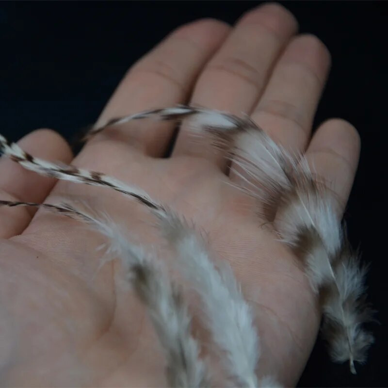 50vnt./Maišelis Natūralios fazano plunksnos amatams Grizzly Rooster balno musės rišimo plunksnos papuošalai Dreamcather auskarų priedas
