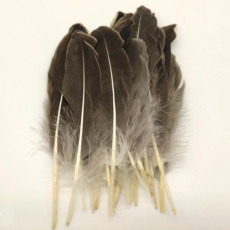 50 tk Naturaalsed hanesuled Plume Craft DIY Royal Blue Feather Pulmapidu Plumas Ehted Valmistamine Dekoratsioonitarvikud 13-18CM