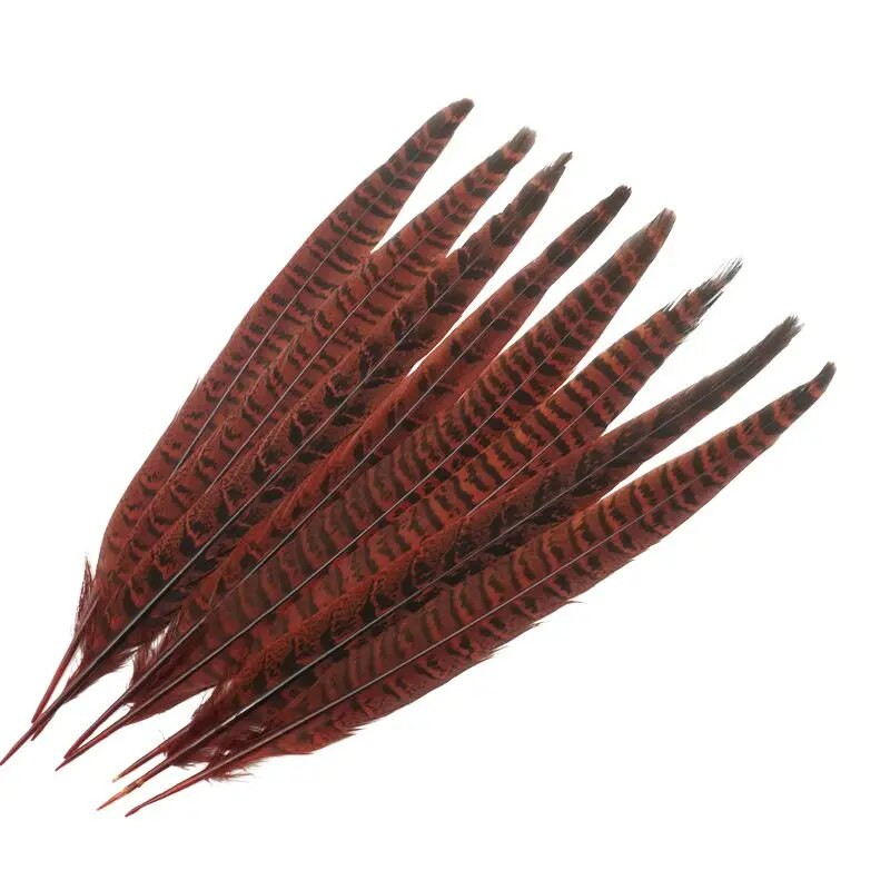 10 tk Faasani suled Keskosad pulmakaunistuseks Kärbse sidumismaterjalid Käsitöö Aksessuaarid Juuksepikendused Kodukäsitöö