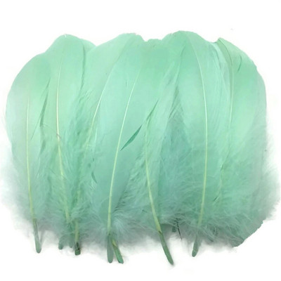 Nature Peppermint Green Goose Nagoire Feathers for crafts plumes 5-7inch/13-18CM Бижута Аксесоари за дрехи Сватбена украса