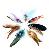 Pene naturale de fazan de pui de flori Accesoriu pentru căciulă de pălărie Clip pentru costum de petrecere Bijuterii de decorare penne