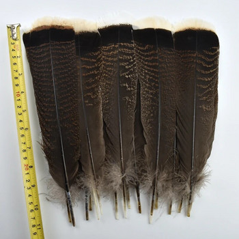 10ΤΜ/Παρτίδα Φυσικό Φτερό Πουλιού Αετού 25-30cm Επιλεγμένα Φτερά Γαλοπούλας πρώτης Ποιότητας για Διακόσμηση Plumes Αξεσουάρ χειροτεχνίας