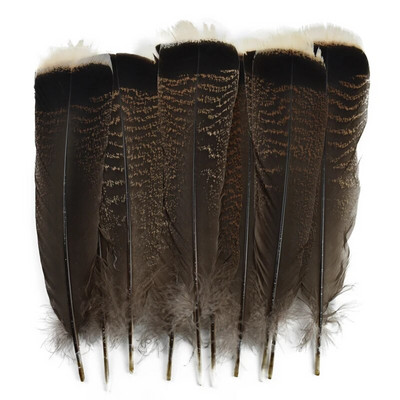 10 buc/lot pene de pasăre vultur naturală 25-30 cm pene de curcan de calitate primă selectate pentru decorare penne Accesorii artizanale