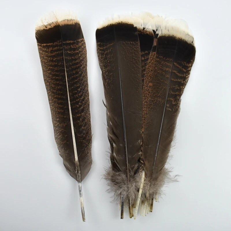 10 tk/partii naturaalne kotkalinnu sulg 25-30 cm valitud esmaklassilised kalkuni suled kaunistuseks Ploomid Käsitöötarvikud