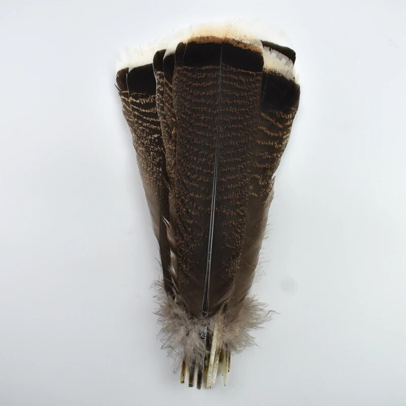 10 tk/partii naturaalne kotkalinnu sulg 25-30 cm valitud esmaklassilised kalkuni suled kaunistuseks Ploomid Käsitöötarvikud