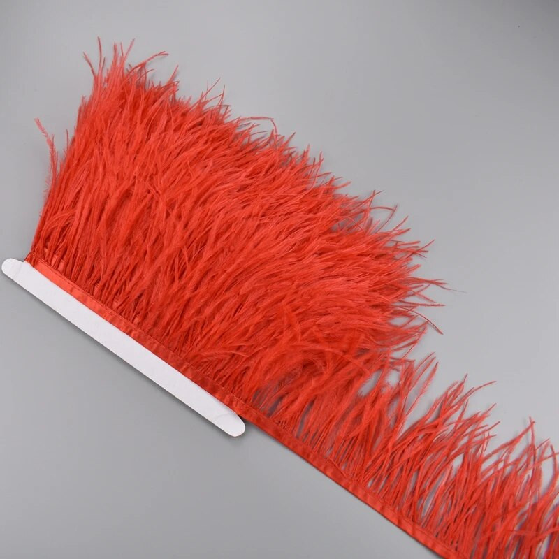 1-meetrine jaanalinnusuled lindil, ääreääristuslint 10-15 cm, 4-6" pikad valged sulgede kaunistused rõivaste kaunistamiseks.