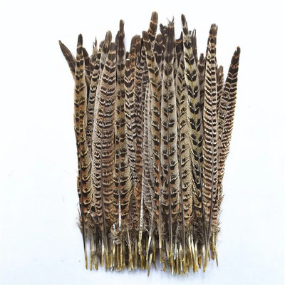 10 buc/lot pene de coadă de fazan femelă 25-30CM/10-12" pene naturale de fazan pentru artizanat Decorațiuni de nuntă Decor pene
