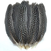 10/20 buc. pene de fazan cu aripi naturale pătate guineea pluma diy pene de marabu pentru meșteșuguri decor decor plumes17-22cm