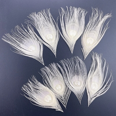 10Pcs/Lot White Peacock Feather Eye Handicrafts 10-15CM 4-6" Real Peacock Feathers for Jewelry Making Earrings Creation Decor